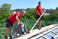 2025_gruenwangen-010